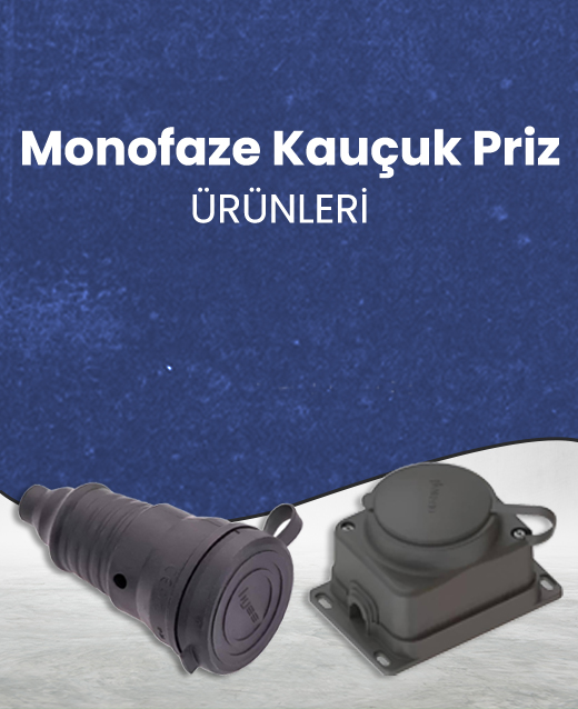 Priz Çeşitleri