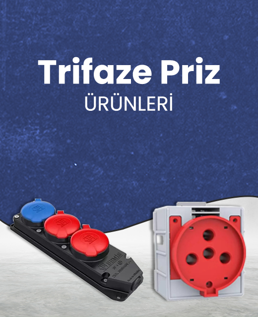 Priz Çeşitleri